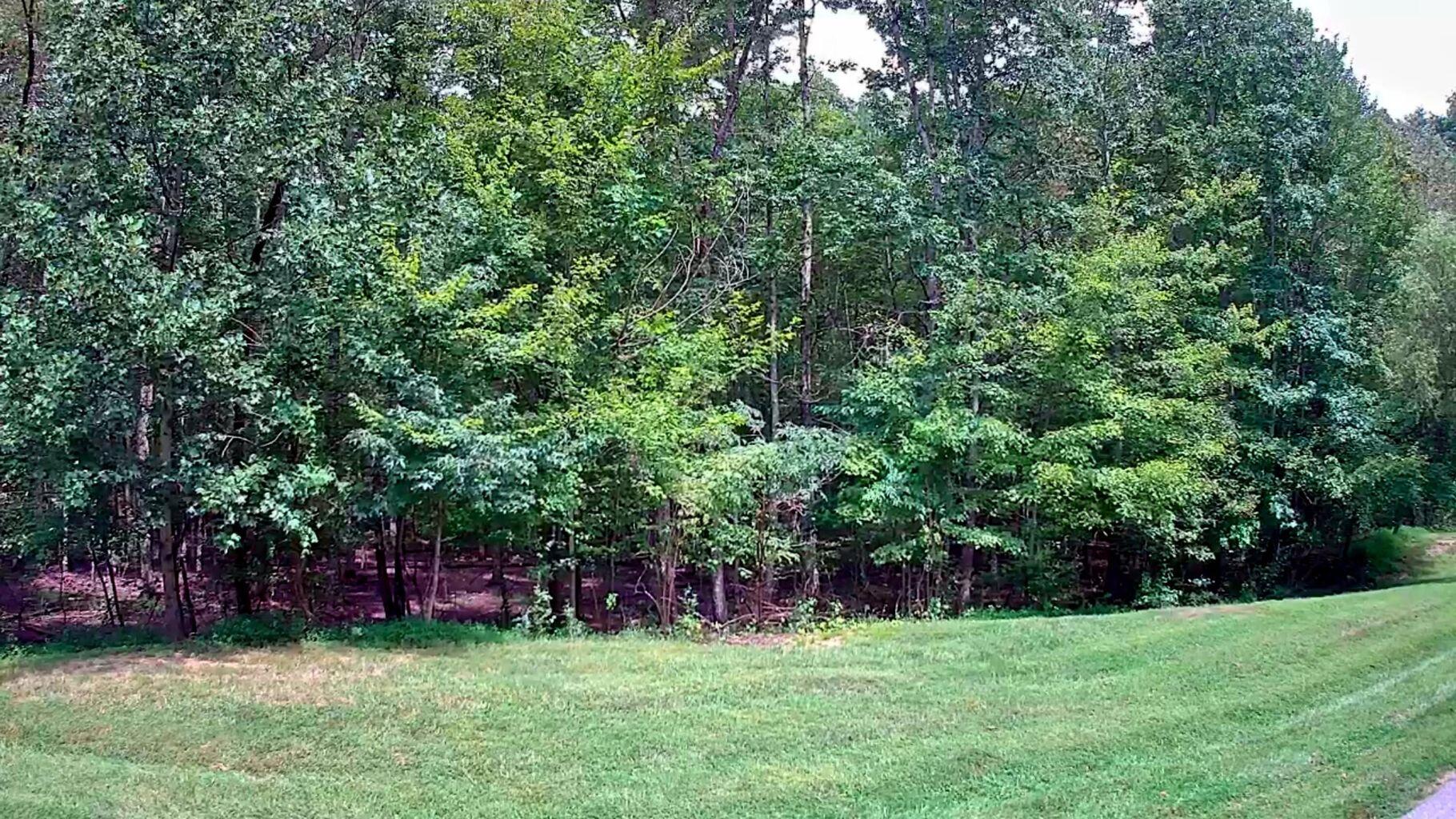 0 Hampton Way, Unit 41 Rising Fawn, GA 30738 - Photo 8 of 28 HW 9