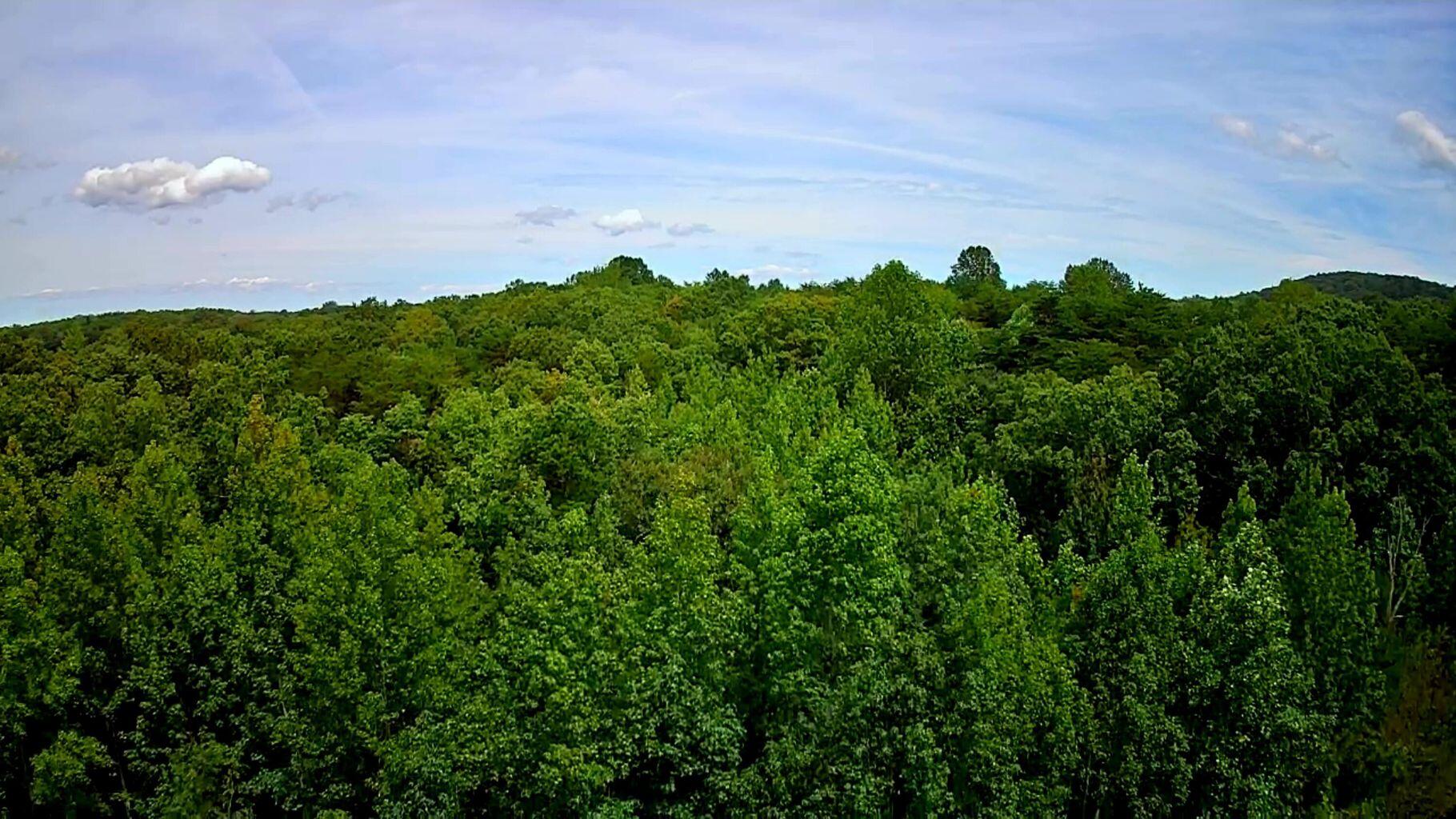 0 Hampton Way, Unit 41 Rising Fawn, GA 30738 - Photo 9 of 28 HW 10