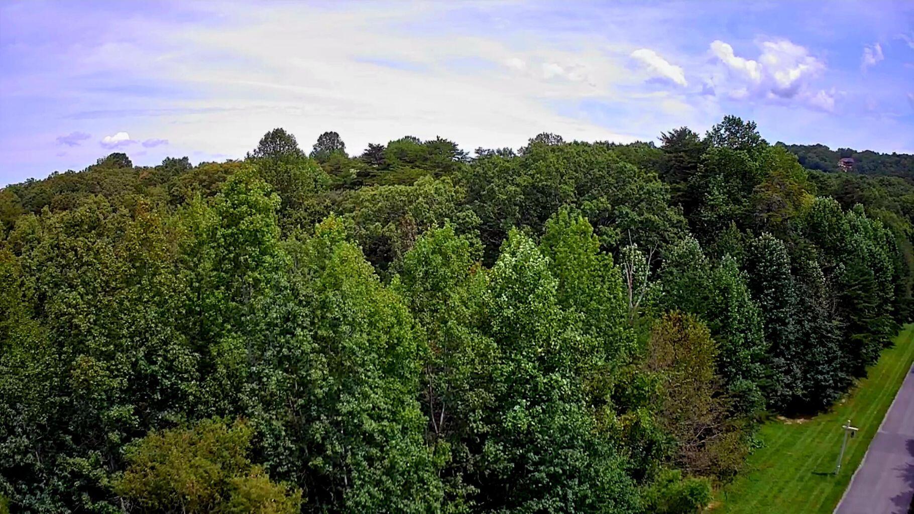 0 Hampton Way, Unit 41 Rising Fawn, GA 30738 - Photo 10 of 28 HW 11