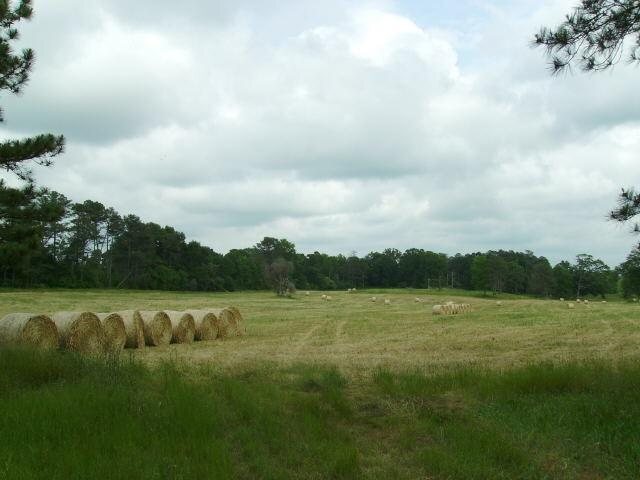 514 Salem Church Road Lexington, GA 30648 - Photo 1 of 1