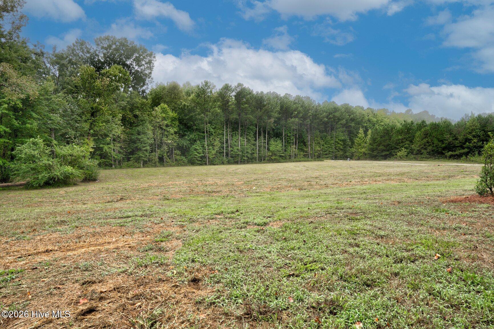 8711 Pleasant Grove Church Road Spring Hope, NC 27882 - Photo 25 of 25 030-8711PleasantGroveChurchRoad-Vacant-S