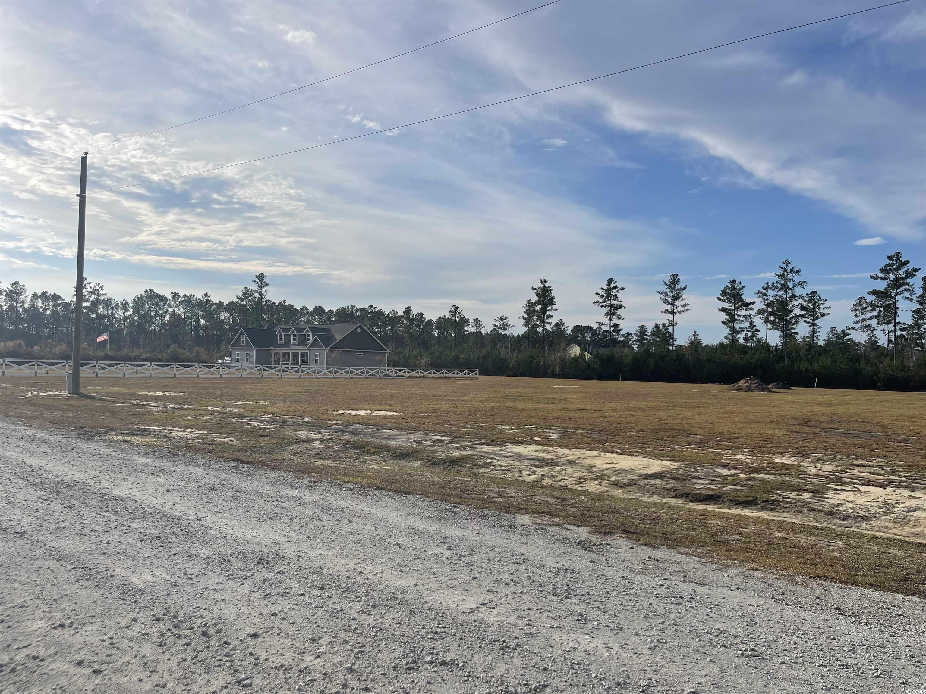 1709 Hemingway Road Loris, SC 29569 - Photo 3 of 3