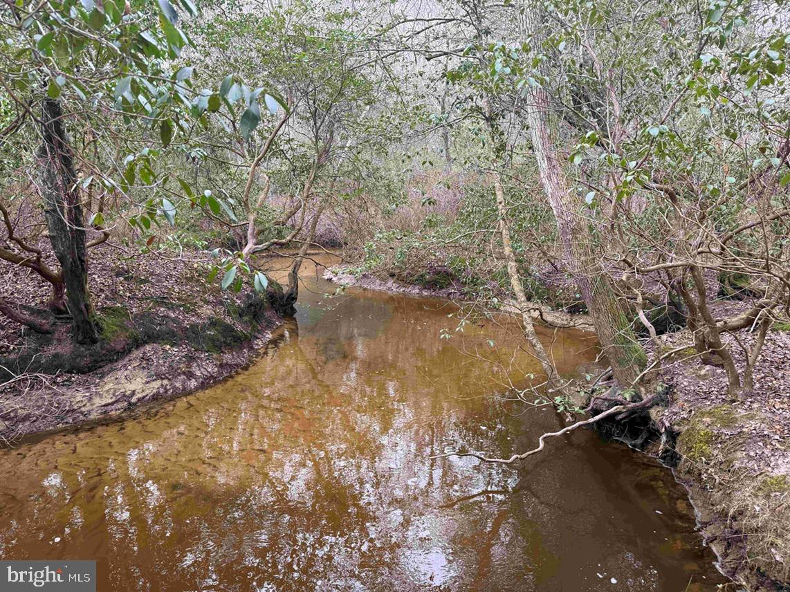 Pollards Lane St. Stephens Church, VA 23148 - Photo 11 of 19
