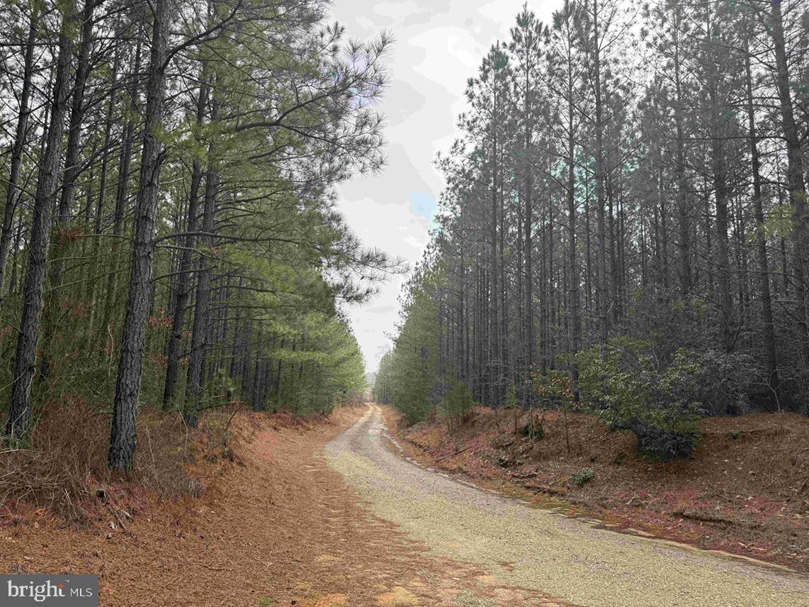 Pollards Lane St. Stephens Church, VA 23148 - Photo 14 of 19 a backyard of a house with lots of green space