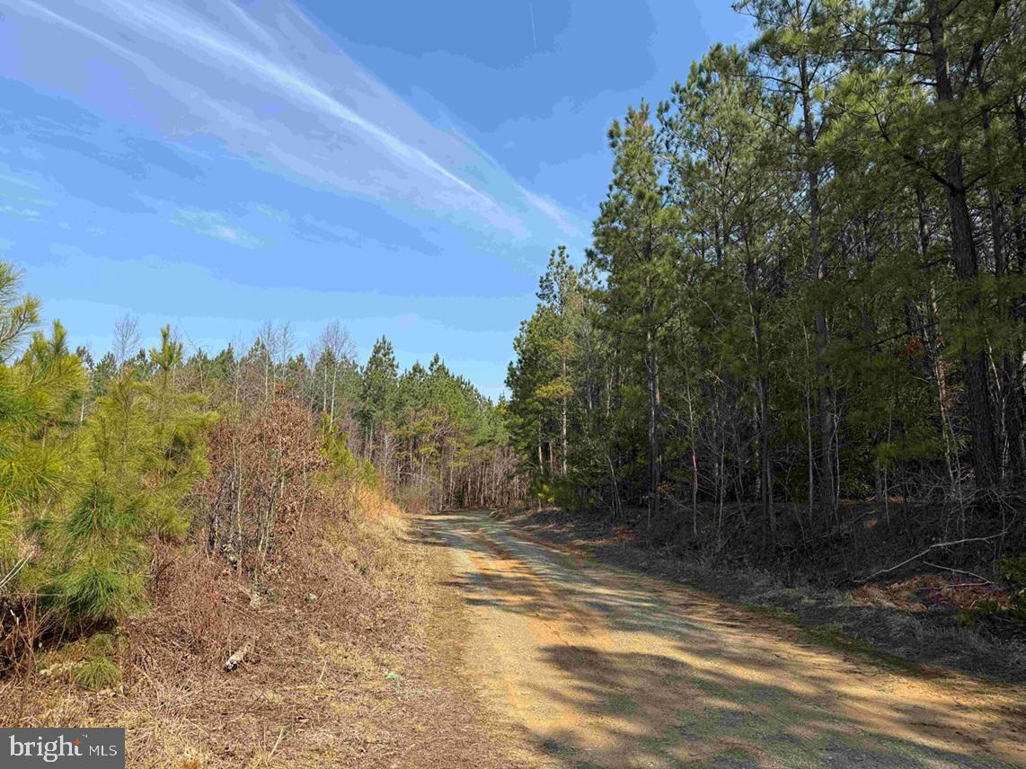 Pollards Lane St. Stephens Church, VA 23148 - Photo 15 of 19 a view of a yard with a house