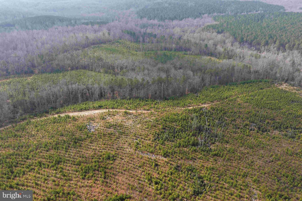 Pollards Lane St. Stephens Church, VA 23148 - Photo 16 of 19 a view of a backyard
