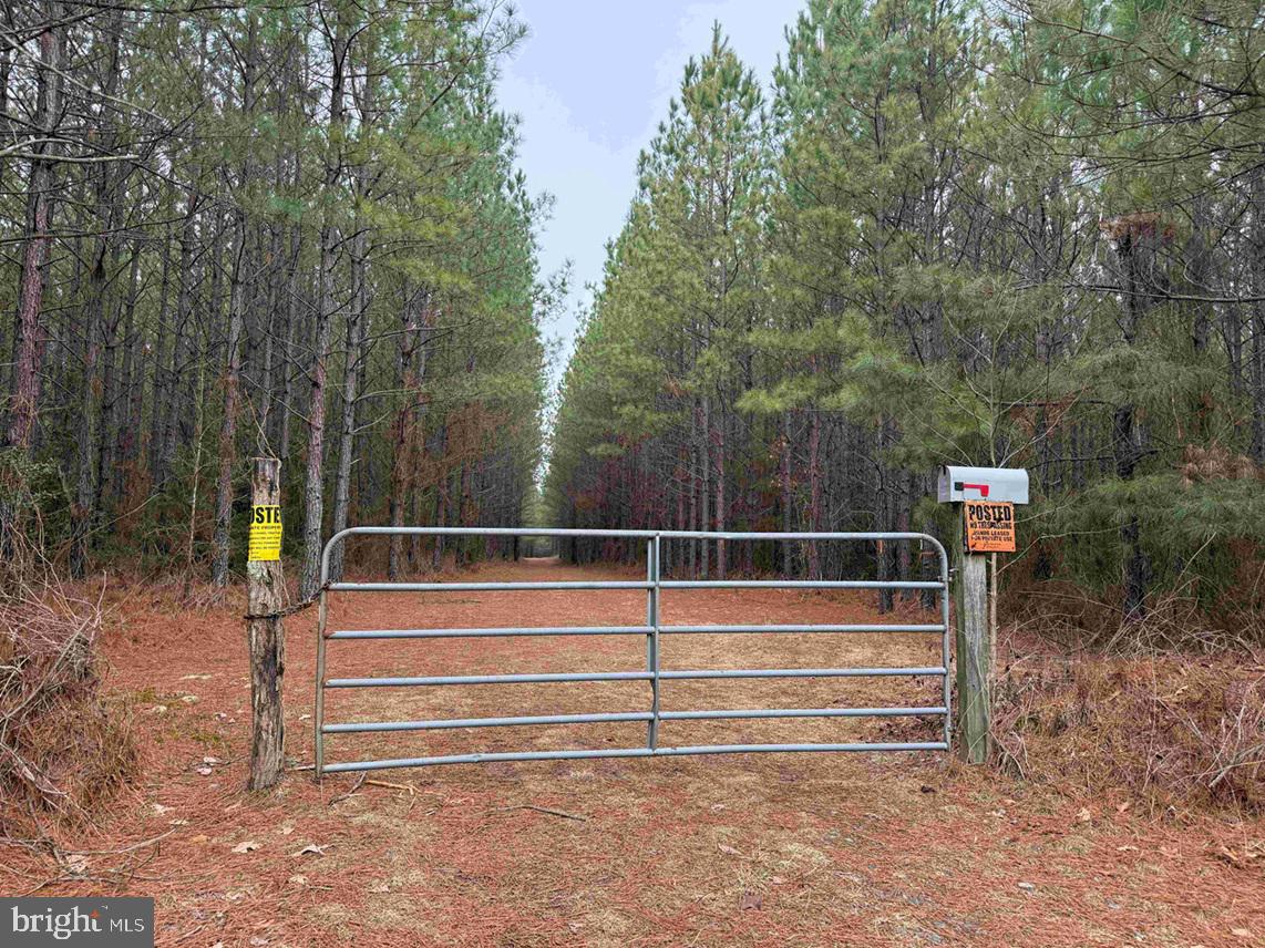 Pollards Lane St. Stephens Church, VA 23148 - Photo 5 of 19 a view of outdoor space and deck