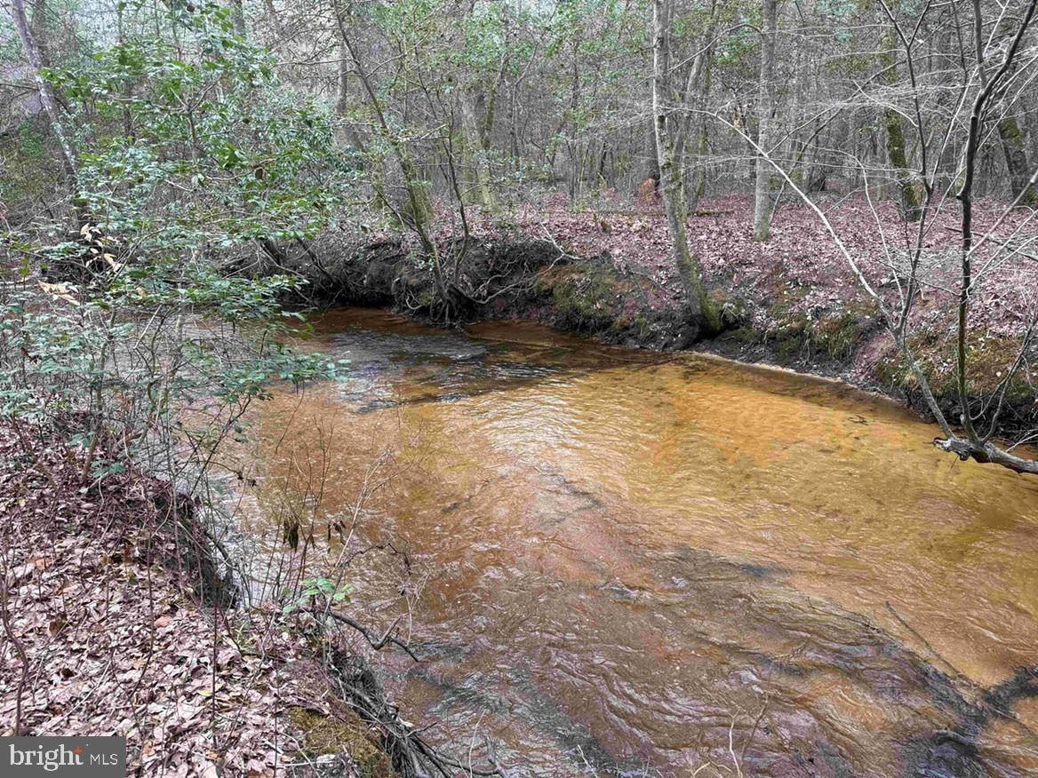 Pollards Lane St. Stephens Church, VA 23148 - Photo 10 of 19 a view of a backyard with large trees