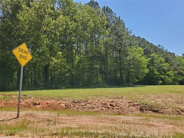 a view of a street with a tree in the background