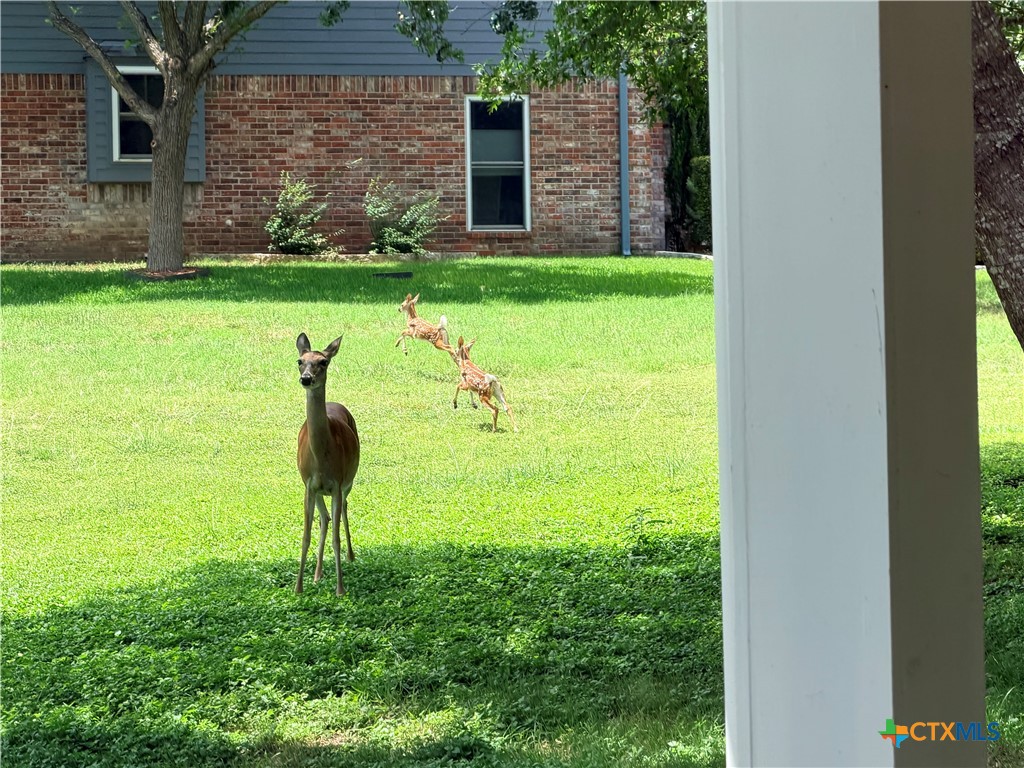 400 Royal View Road Salado, TX 76571 - Photo 45 of 47