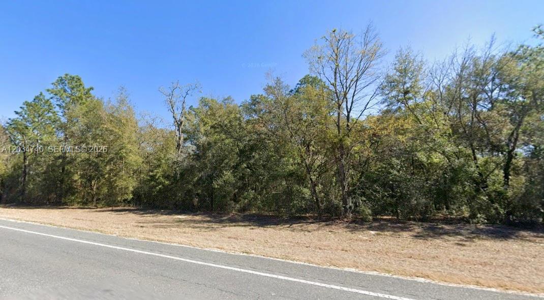 Lot 2 Str 121 Williston, FL 32696 - Photo 3 of 7