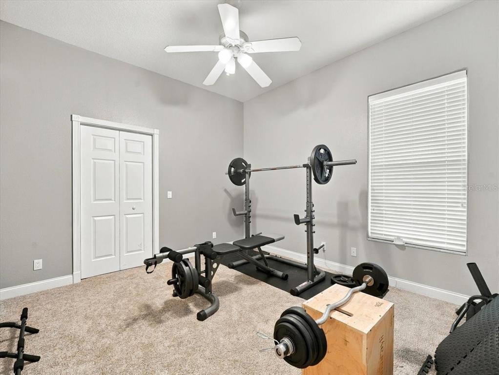 18829 Geraci Road Lutz, FL 33548 - Photo 52 of 77 Gallery Image 52
