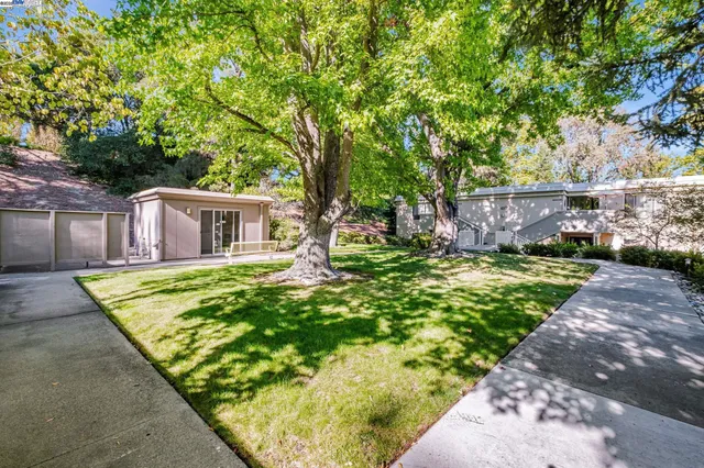a view of a house with a backyard and a tree
