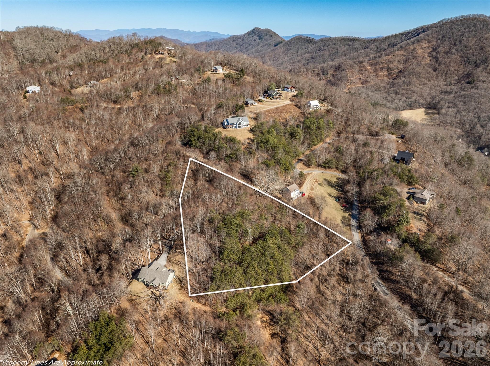 9999 Hunters Ridge Road Canton, NC 28716 - Photo 2 of 10 a view of a forest