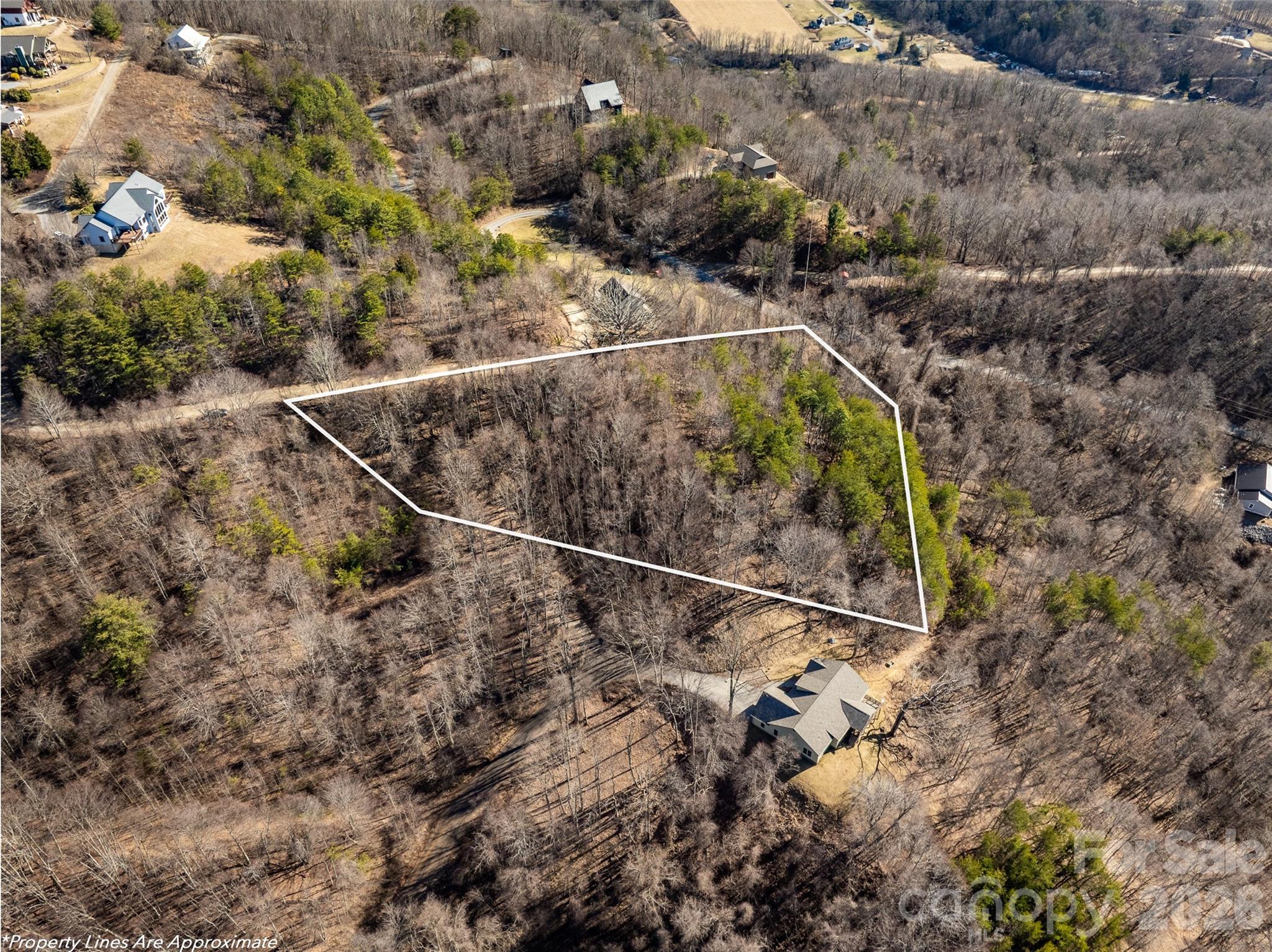 9999 Hunters Ridge Road Canton, NC 28716 - Photo 3 of 10 a view of a backyard