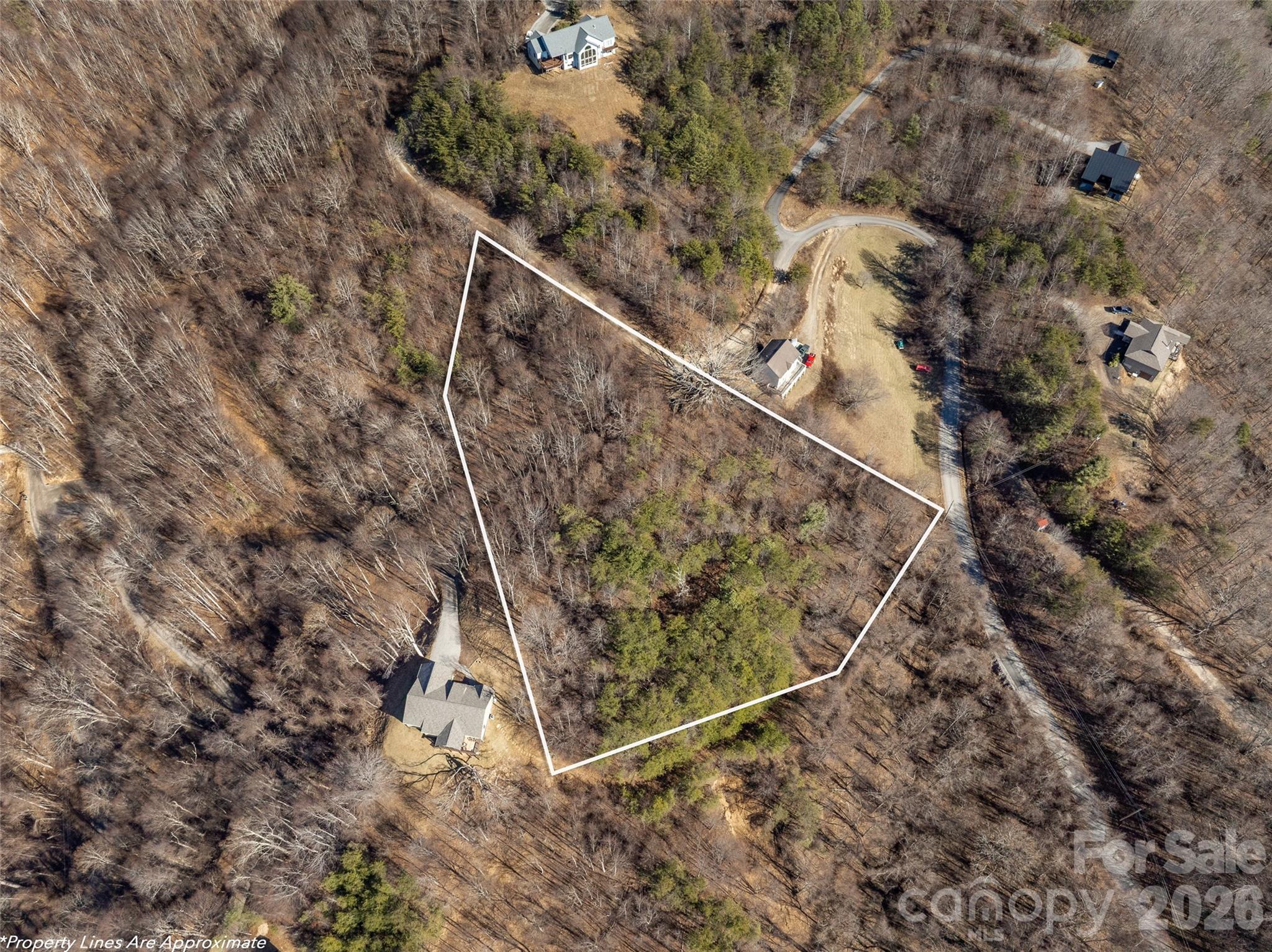 9999 Hunters Ridge Road Canton, NC 28716 - Photo 4 of 10 a view of a backyard with plants