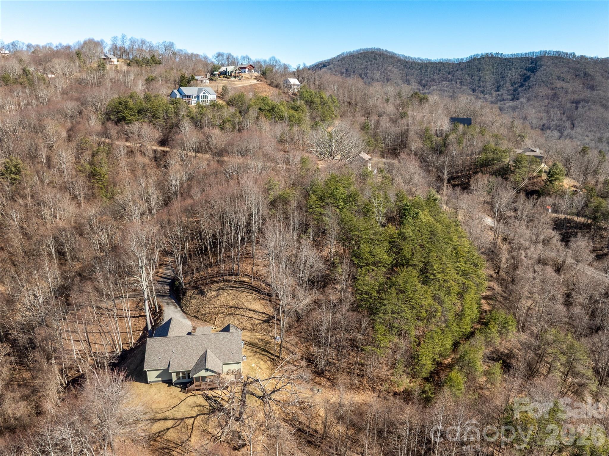 9999 Hunters Ridge Road Canton, NC 28716 - Photo 5 of 10 a view of a dry yard with trees