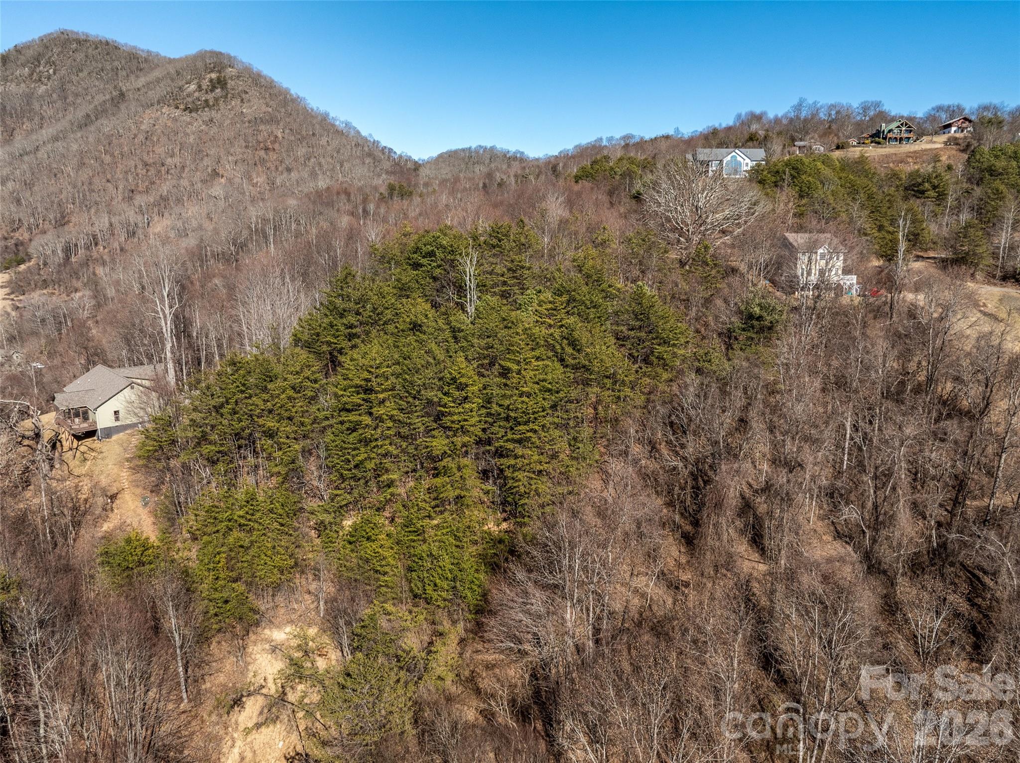 9999 Hunters Ridge Road Canton, NC 28716 - Photo 6 of 10 a view of a dry yard with mountains in the background