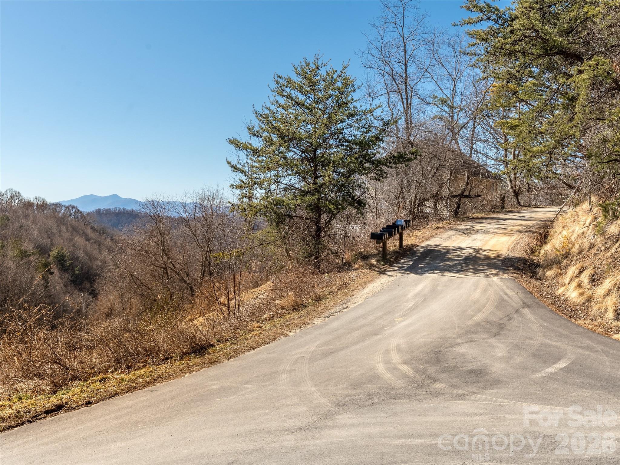 9999 Hunters Ridge Road Canton, NC 28716 - Photo 9 of 10