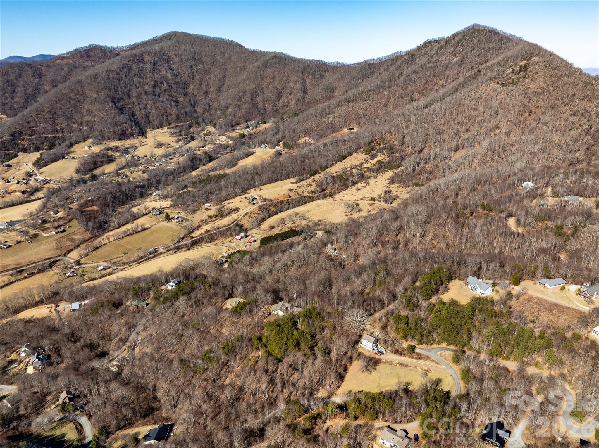 9999 Hunters Ridge Road Canton, NC 28716 - Photo 10 of 10 a view of a large tree