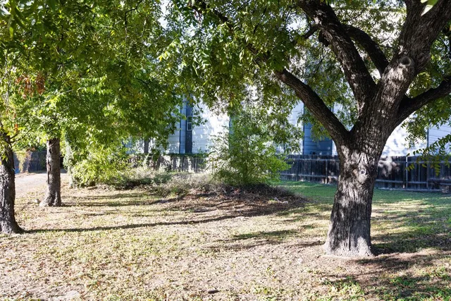 a backyard of a house with lots of trees
