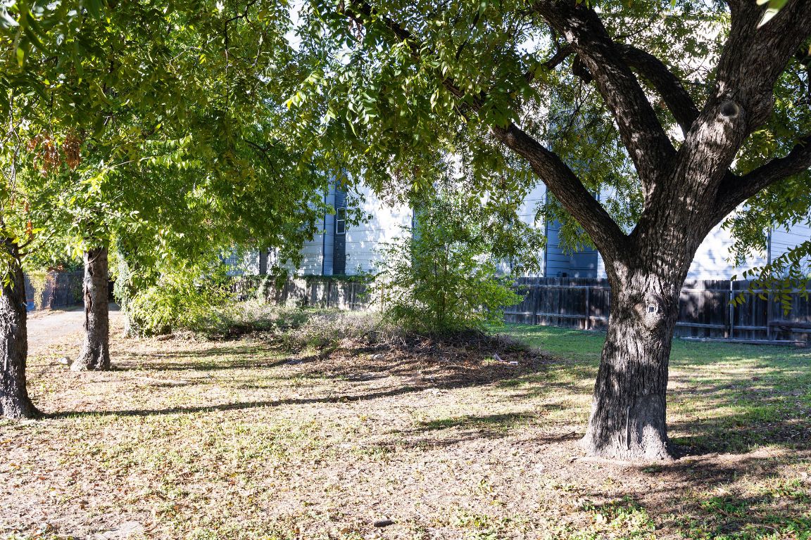 2307 Coronado Street Austin, TX 78702 - Photo 8 of 17 a backyard of a house with lots of trees