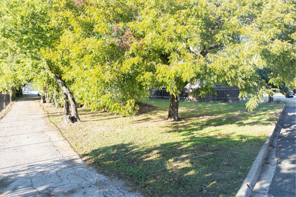 2307 Coronado Street Austin, TX 78702 - Photo 9 of 17 a view of yard with tree