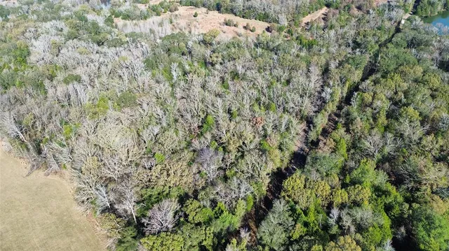 a view of a lush green field