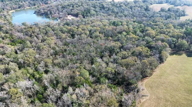 a view of a forest with a houses