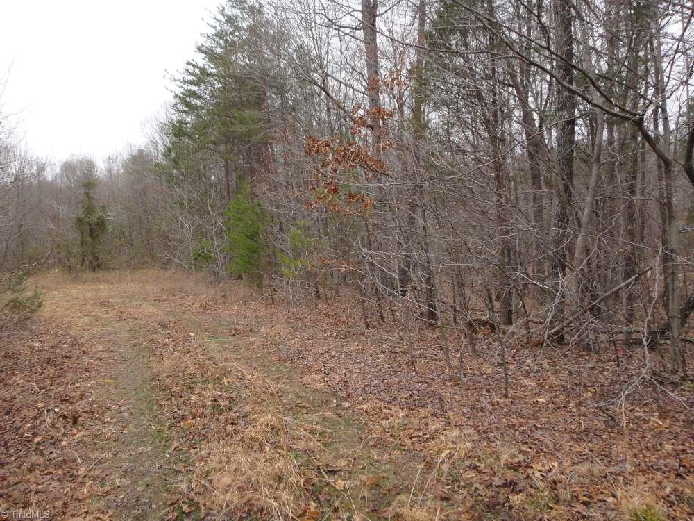 0 Harvest Road Reidsville, NC 27320 - Photo 2 of 12 Gallery Image 2