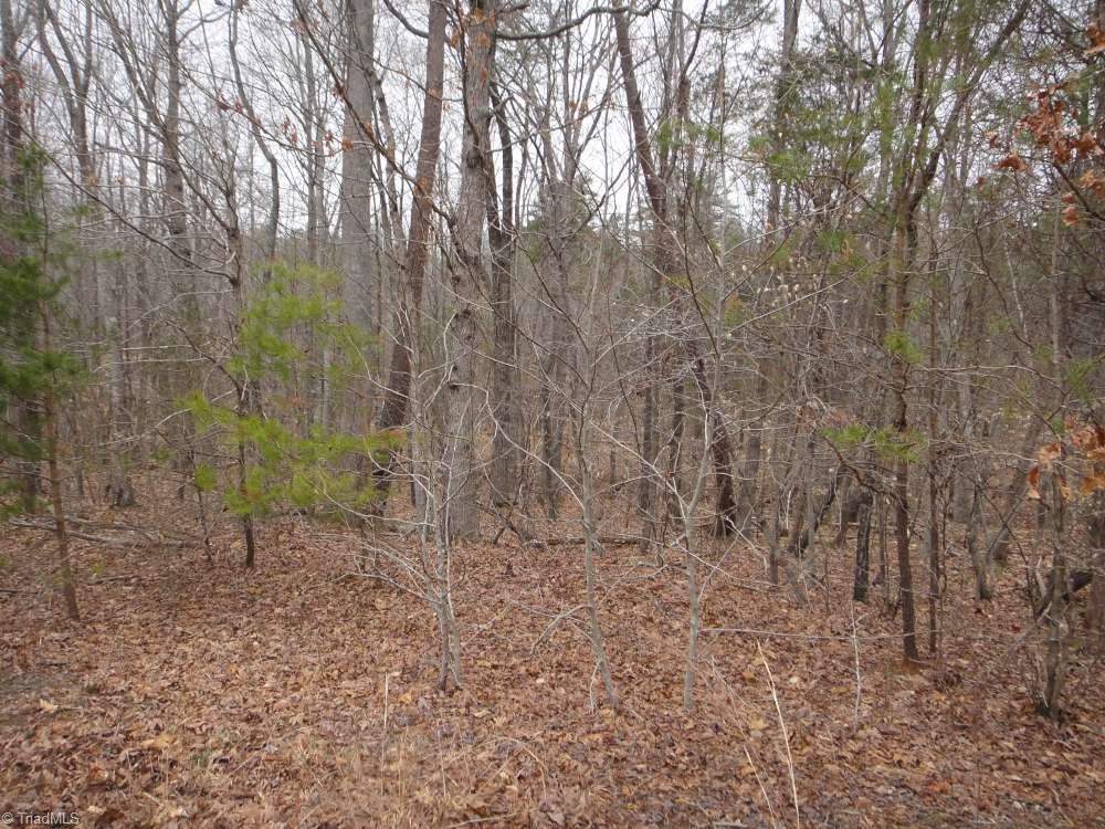 0 Harvest Road Reidsville, NC 27320 - Photo 3 of 12 Gallery Image 3