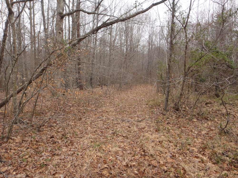 0 Harvest Road Reidsville, NC 27320 - Photo 5 of 12 Gallery Image 5