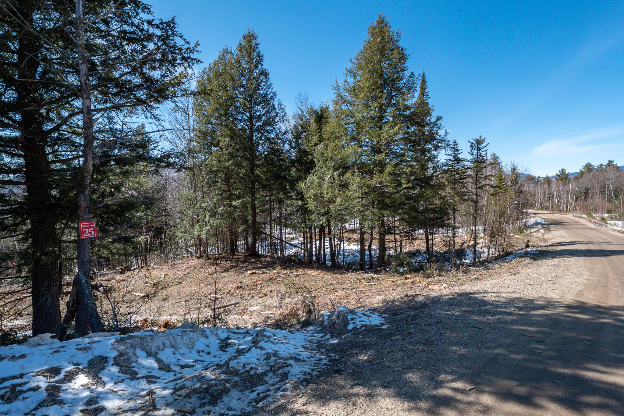 Lot 25 Thunder Snow Road Bethel, ME 04217 - Photo 3 of 6 Winter Park Lot 25-3