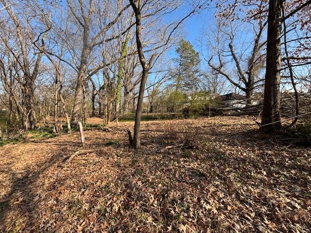 377 North Houston Levee Road Cordova, TN 38018 - Photo 12 of 19 a backyard of a house with lots of green space