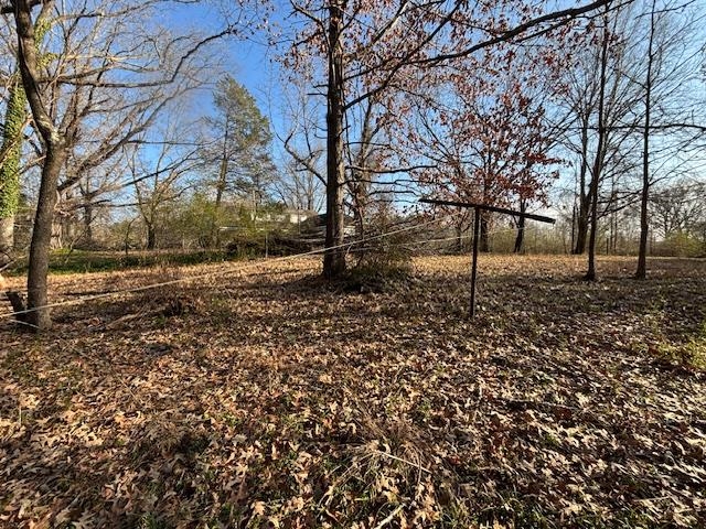 377 North Houston Levee Road Cordova, TN 38018 - Photo 13 of 19 a backyard of a house with lots of green space