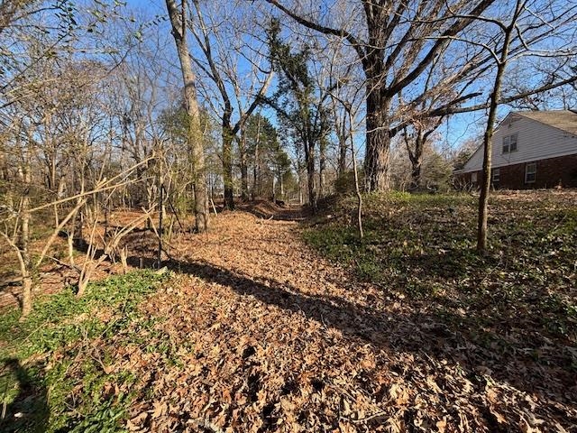 377 North Houston Levee Road Cordova, TN 38018 - Photo 14 of 19 a backyard of a house with lots of green space