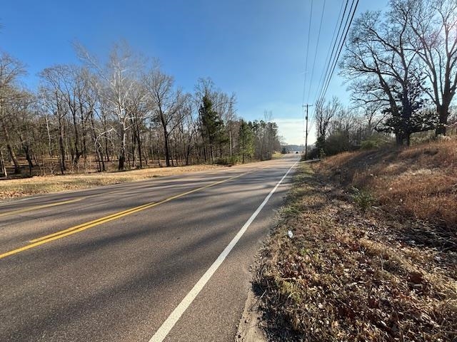 377 North Houston Levee Road Cordova, TN 38018 - Photo 18 of 19 a view of a yard with a houses