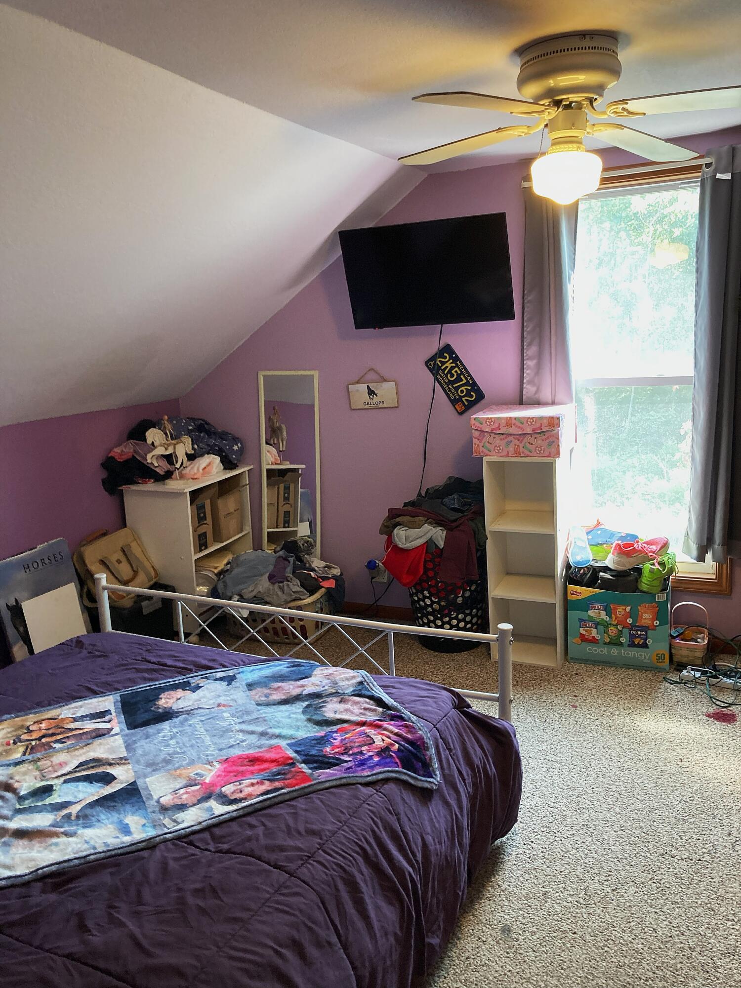 651 West Forest Street Edmore, MI 48829 - Photo 22 of 32 IMG_1586