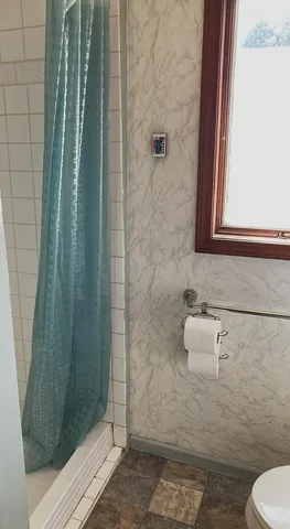 $249,000 | 651 West Forest Street, Edmore, MI 48829