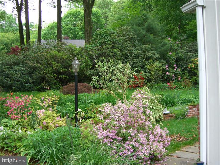 661 Weadley Road Radnor, PA 19087 - Photo 23 of 25 Garden