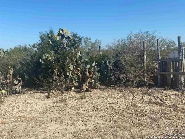 $32,500 | 1-acre Lot 137 Don Chema Road, Laredo, TX 78043