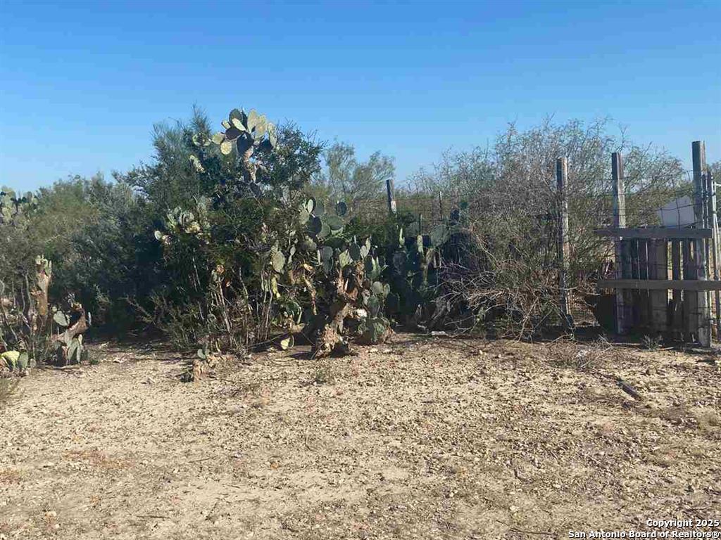 1-acre Lot 137 Don Chema Road Laredo, TX 78043 - Photo 4 of 26