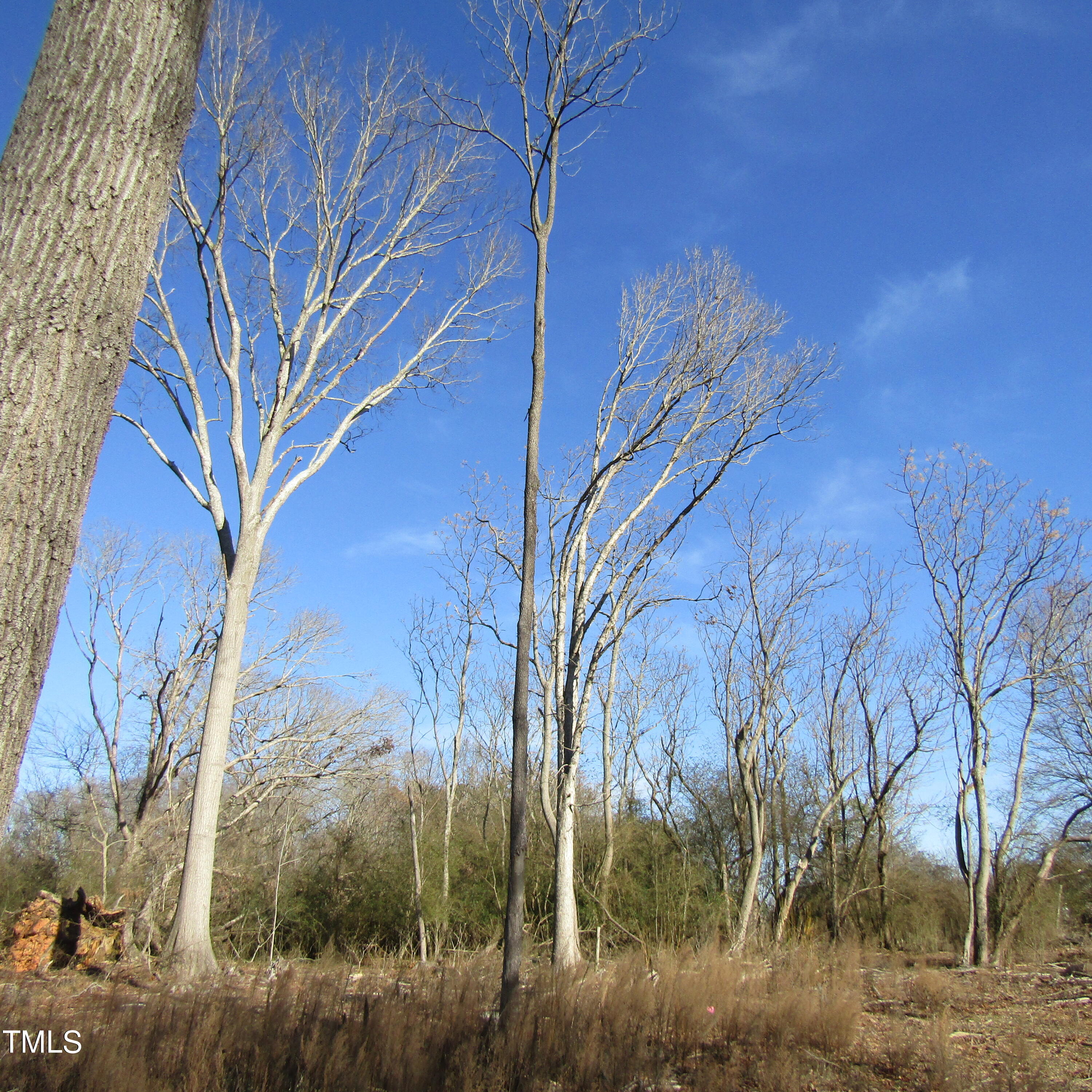 0 Bent Ridge Road Seagrove, NC 27341 - Photo 1 of 22 IMG_3417