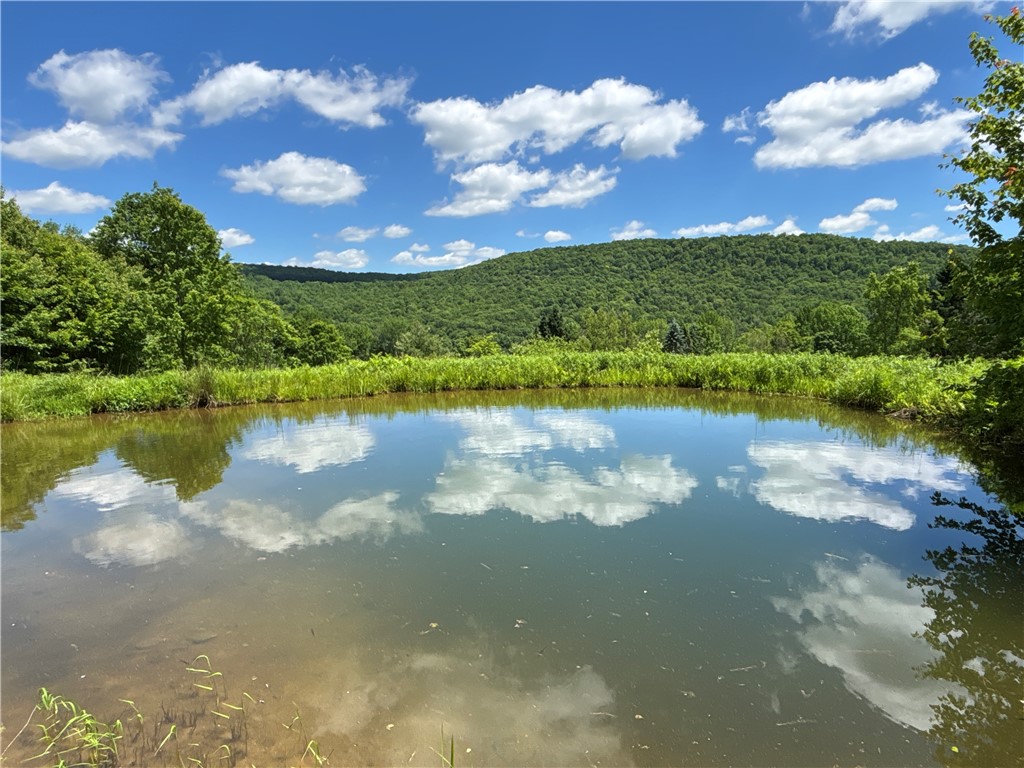 2613 Murphy Hill Road Andes, NY 13731 - Photo 19 of 35