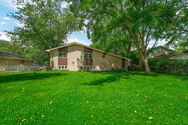 a view of a backyard with plants and large trees
