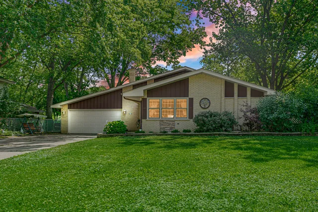 a backyard of a house with plants and large tree
