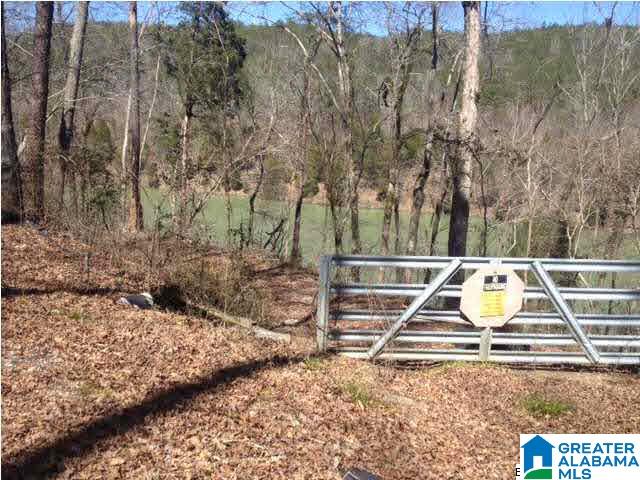 167 Big Shoals Road, Unit LOT 14 Adger, AL 35006 - Photo 10 of 12