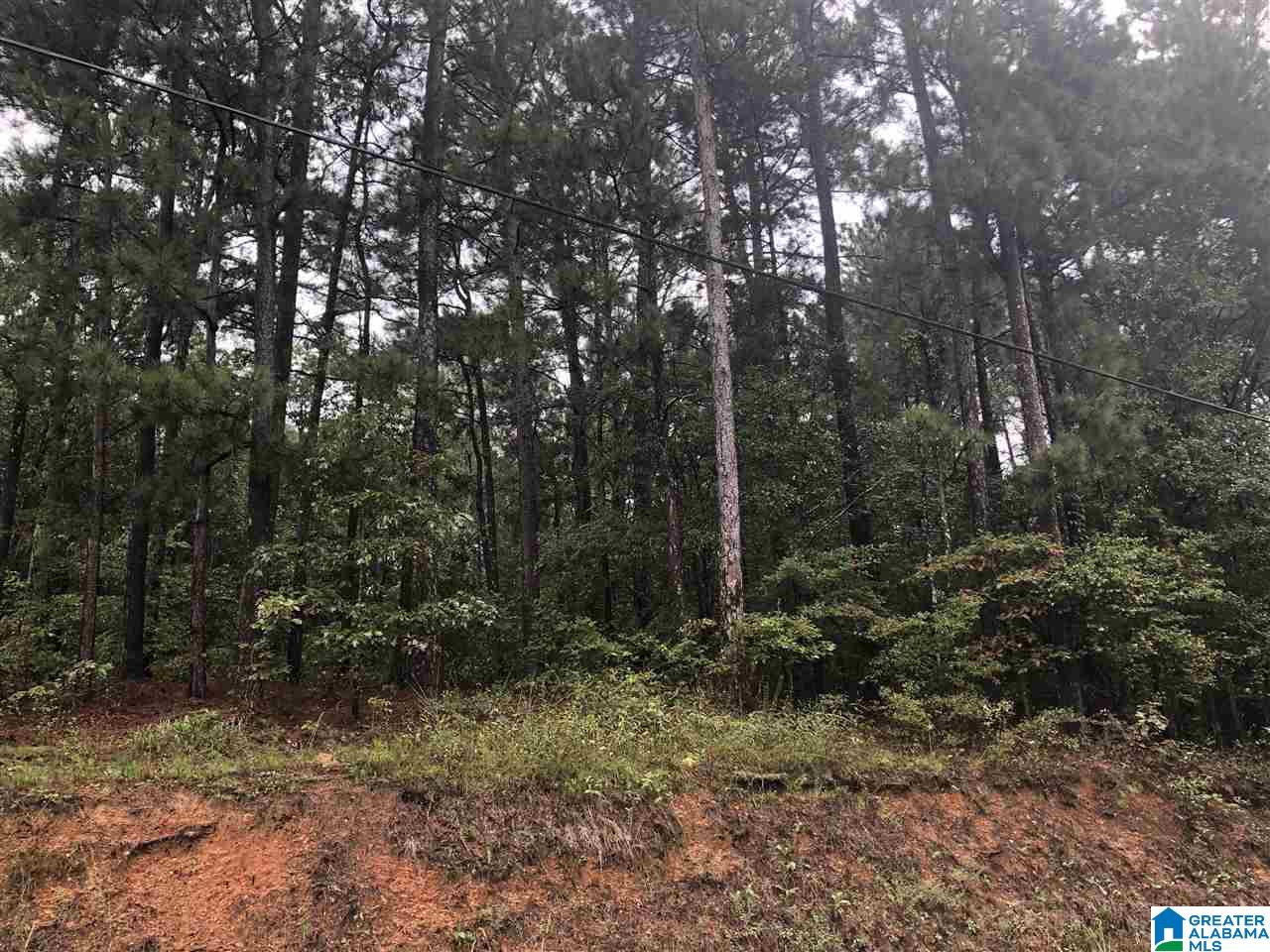 659 Deaver Walker Road, Unit 1 Trafford, AL 35172 - Photo 6 of 7