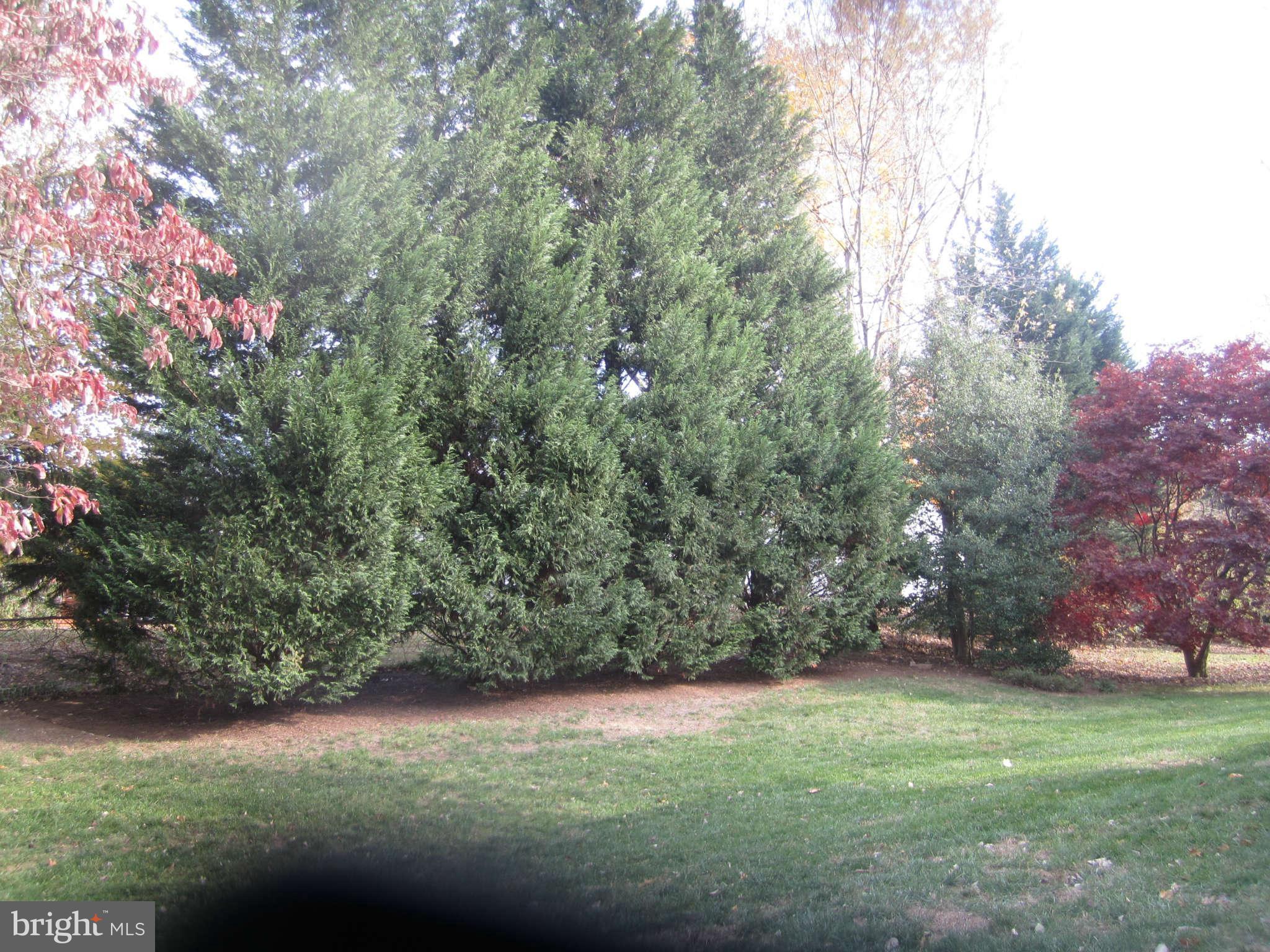 9111 Friars Road Bethesda, MD 20817 - Photo 12 of 15 Exterior Rear