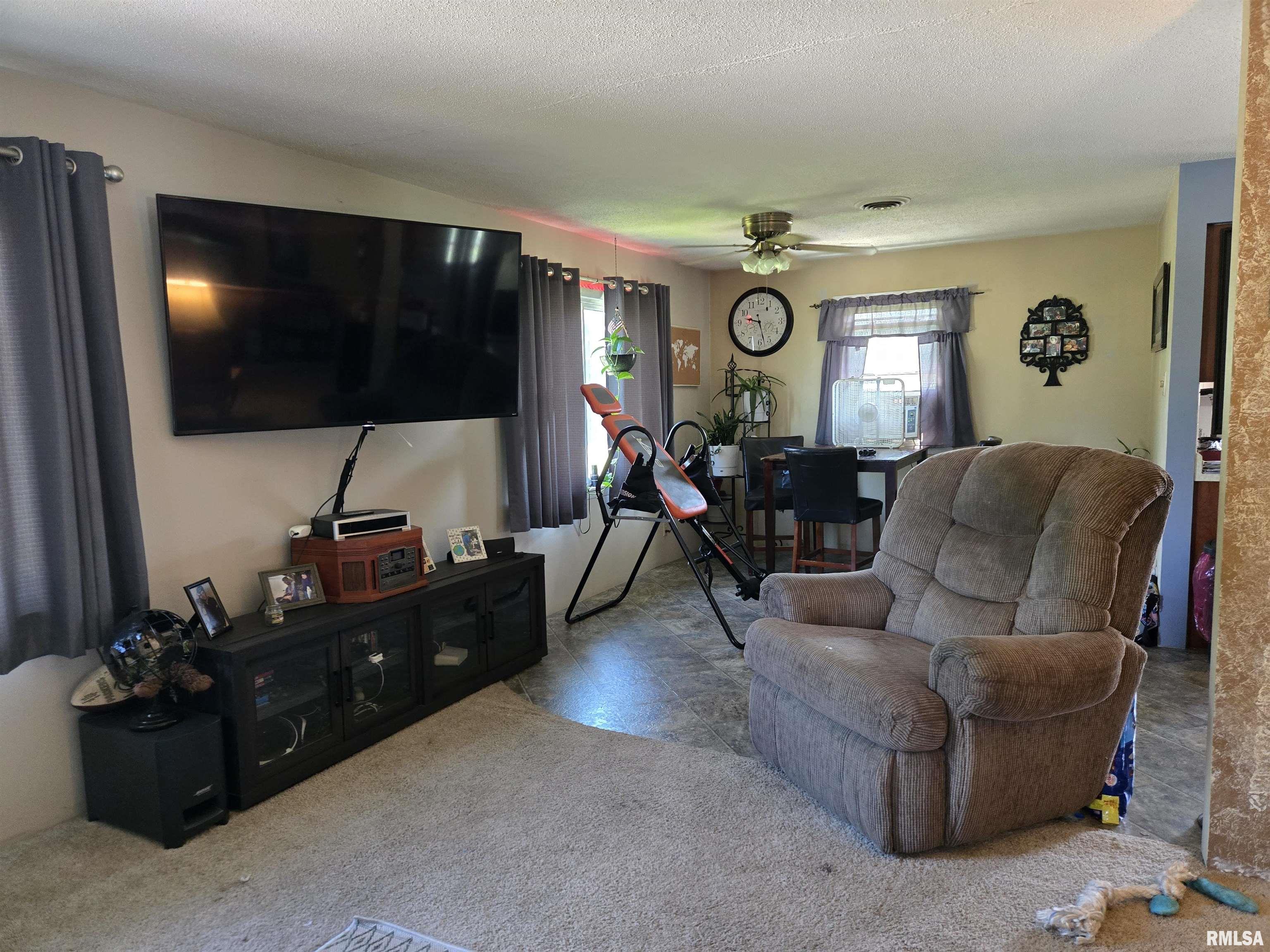 726 East First Street Dallas City, IL 62330 - Photo 6 of 22